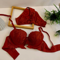 D CUP THIN PAD BRA SET V2